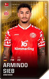 Armindo Sieb - limited