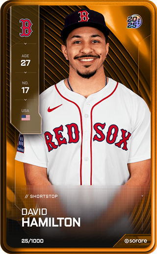 David Hamilton - limited