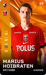 MARIUS HOIBRATEN - limited