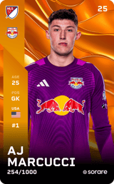 Anthony Marcucci Jr.  - limited