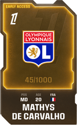 Mathys de Carvalho - limited