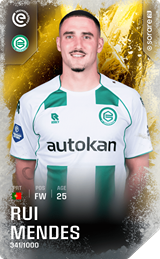 Rui Mendes - limited