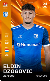 Eldin Dzogovic - limited
