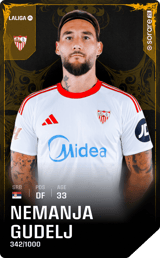 Nemanja Gudelj - limited