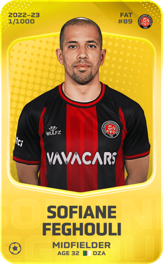 Sofiane Feghouli