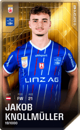 Jakob Knollmüller - limited