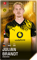 Julian Brandt - limited