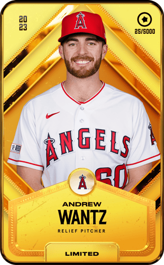 Andrew Wantz - limited
