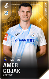 Amer Gojak - limited