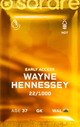 Wayne Hennessey - limited