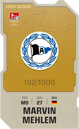 Marvin Mehlem - limited