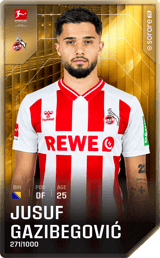 Jusuf Gazibegović - limited