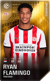 Ryan Flamingo - limited