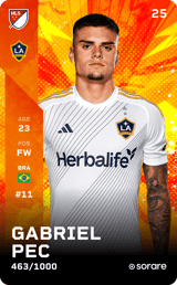 Gabriel Pec - limited