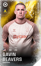 Gavin Beavers - limited