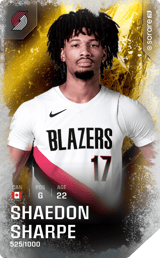 Shaedon Sharpe - limited