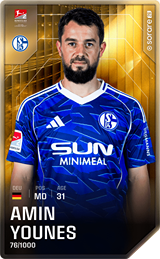 Amin Younes - limited