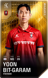 Yoon Bit-Garam - limited