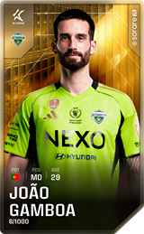 João Gamboa - limited