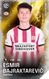 Esmir Bajraktarevic - limited