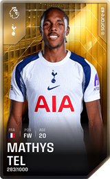 Mathys Tel - limited