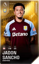 Jadon Sancho - limited