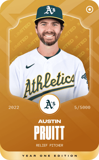 Austin Pruitt - limited