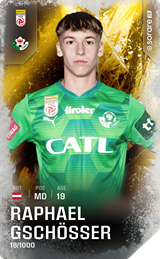 Raphael Gschösser - limited