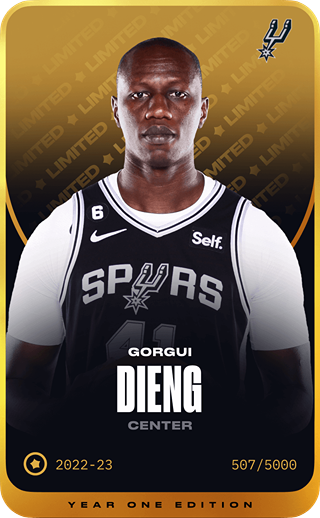 Gorgui Dieng - limited