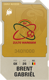 Brent Gabriel - limited