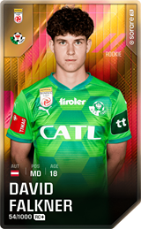 David Falkner - limited