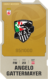 Angelo Gattermayer - limited