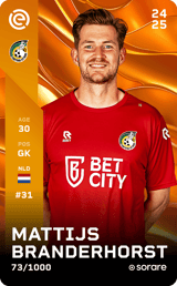 Mattijs Branderhorst - limited