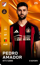 Pedro Amador - limited