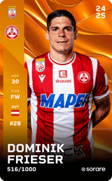 Dominik Frieser - limited