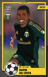 David Pereira da Costa - limited