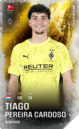 Tiago Pereira Cardoso - limited