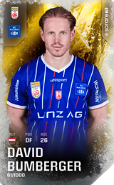 David Bumberger - limited