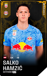 Salko Hamzić - limited