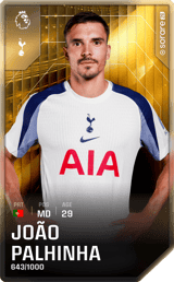 João Palhinha - limited