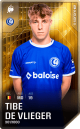 Tibe De Vlieger - limited