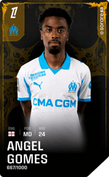 Angel Gomes - limited