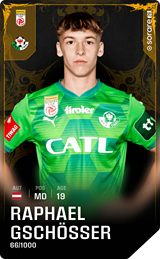 Raphael Gschösser - limited