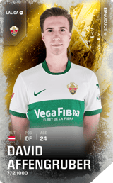 David Affengruber - limited