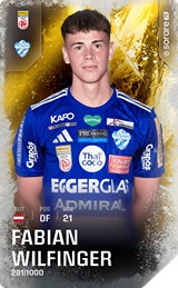 Fabian Wilfinger - limited