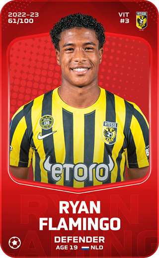 Ryan Flamingo - rare