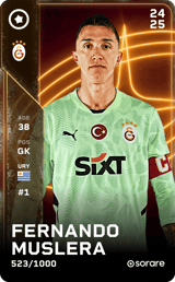 Fernando Muslera - limited