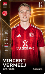 Vincent Vermeij - limited