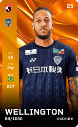 Wellington - limited