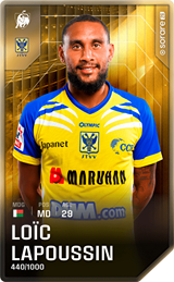 Loïc Lapoussin - limited